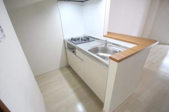 �V�X�e���L�b�`��