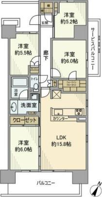 �Z���g�K�[�f���C�V���T�X��