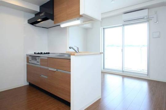 �V�X�e���L�b�`��