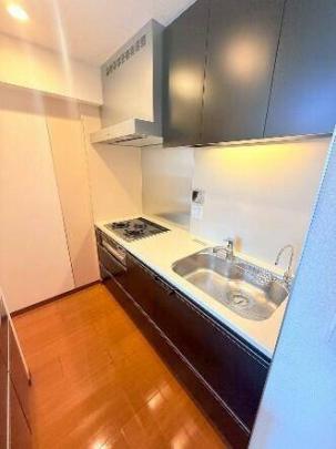 �V�X�e���L�b�`��