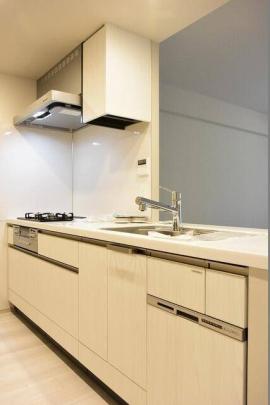 �V�X�e���L�b�`���ł�