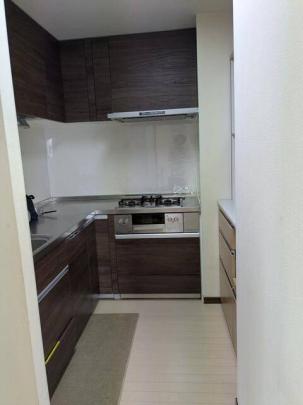 �V�X�e���L�b�`���ł�