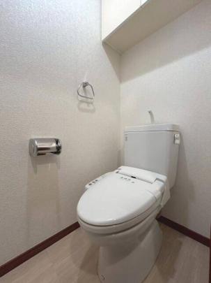 �������֍�