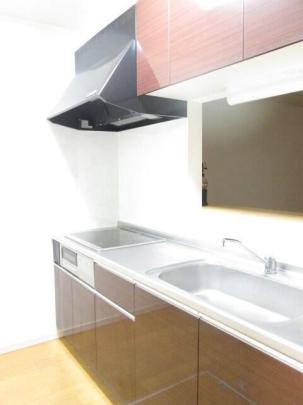 �l�C�̃V�X�e���L�b�`���ł�