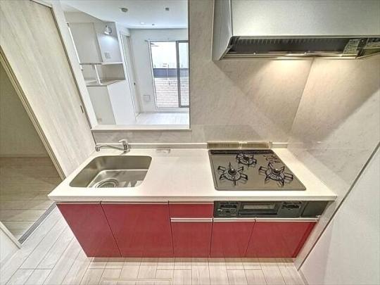 �V�X�e���L�b�`��