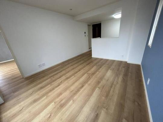 ������̂������ł�