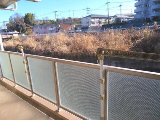 �o���R�j�[�L��