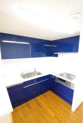 �V�X�e���L�b�`���ł�