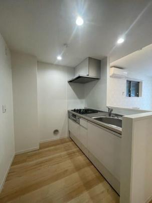 �V�X�e���L�b�`��