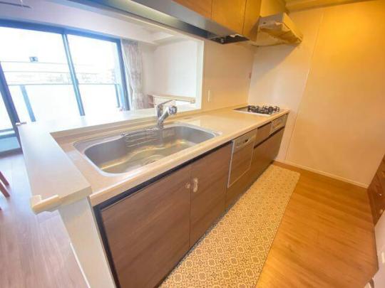 �V�X�e���L�b�`��