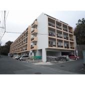 ゴミ置場・駐輪場