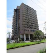 12階建