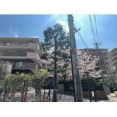 グレーシアパーク山手台EAST壱番館 外観写真1 外観
