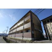 3階建ての単身用!