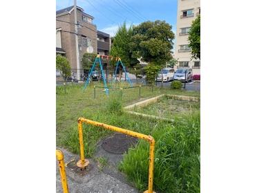 公園の全体像です!