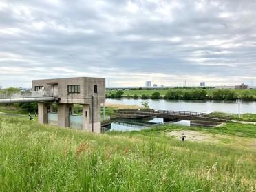 江戸川と浄水場