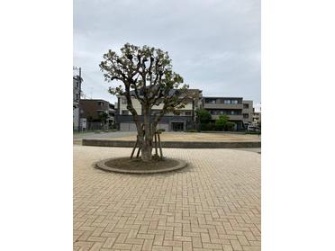 縁石がベンチにもなってます!