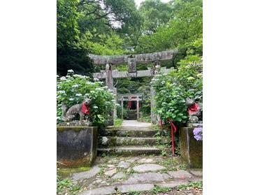 入口付近