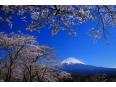 大石寺