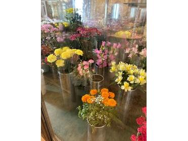 お花
