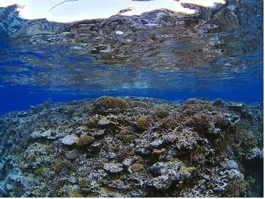 綺麗な海ですね! 綺麗な海ですね!