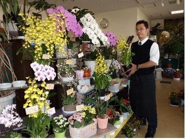 素敵な洋蘭とスタッフさんがお出迎え 素敵な洋蘭とスタッフさんがお出迎え