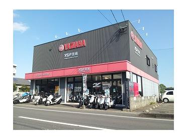 YSP 宮崎店 YSP 宮崎店