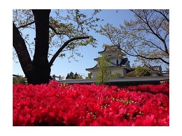 天ヶ城公園