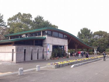 市民の森