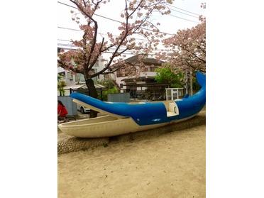 クジラの遊具!珍しい〜!