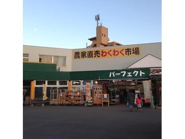 園芸屋さん?的な外観