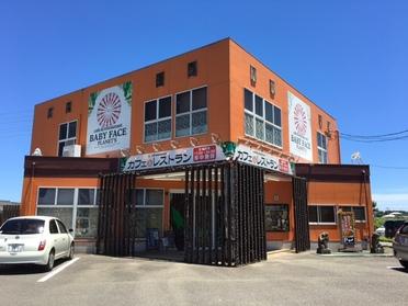 エネルギッシュなオレンジの外観!