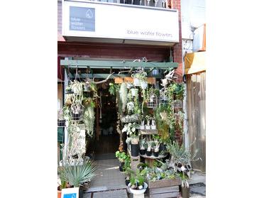 緑豊かなお店です!