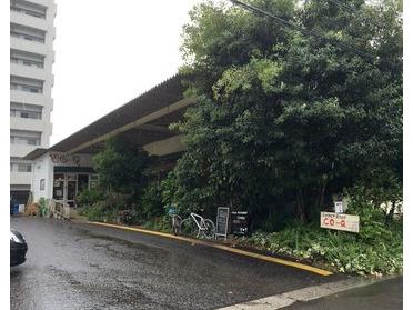 あいにくの雨でした…