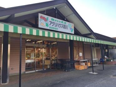 商品の多い開店時間には行列ができますよ