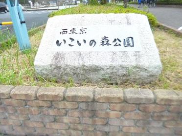 憩いの森公園
