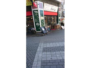 Adoliaです