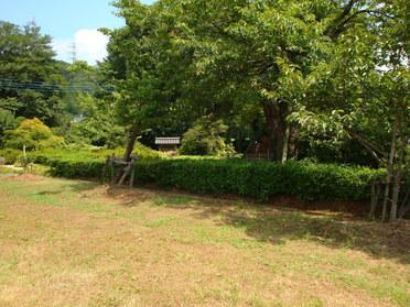 子供も走り回れる広場
