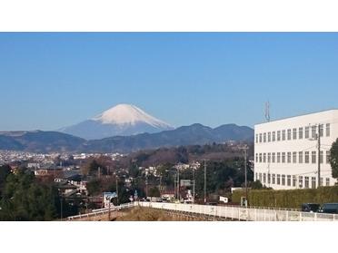 国道246号線善波トンネルからアングル