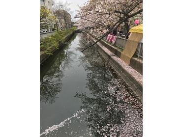 圧巻です。