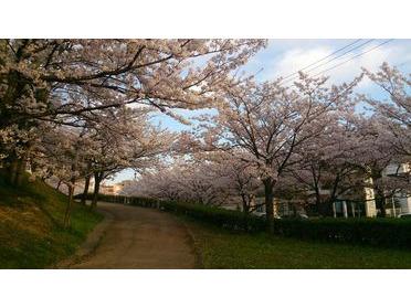 公園に行く坂道