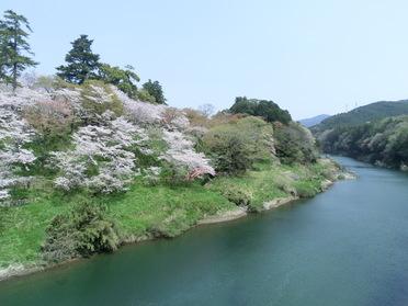 赤い太鼓橋。近くで桜見物