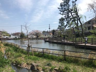 白幡池公園
