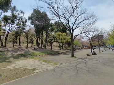 公園内①