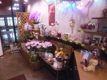 ピンクを基調としたかわいい店内!