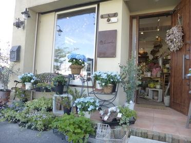 店舗の外観