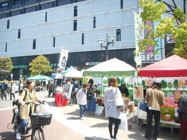 広場に並ぶお店の様子♪