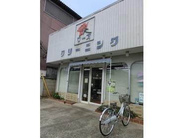 ローズクリーニング本店です!