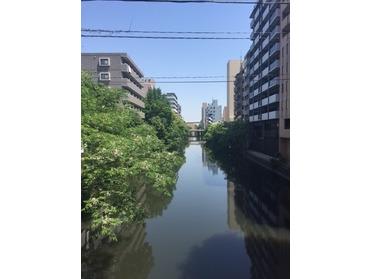 この先に名古屋城があります