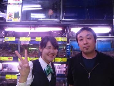 観賞魚について教えていただきました!
